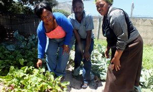 Masakhane se groentetuin